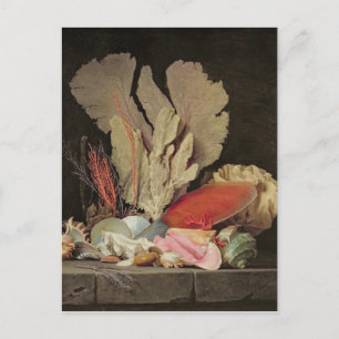 Algen, Lithophyten und Muscheln Postkarte