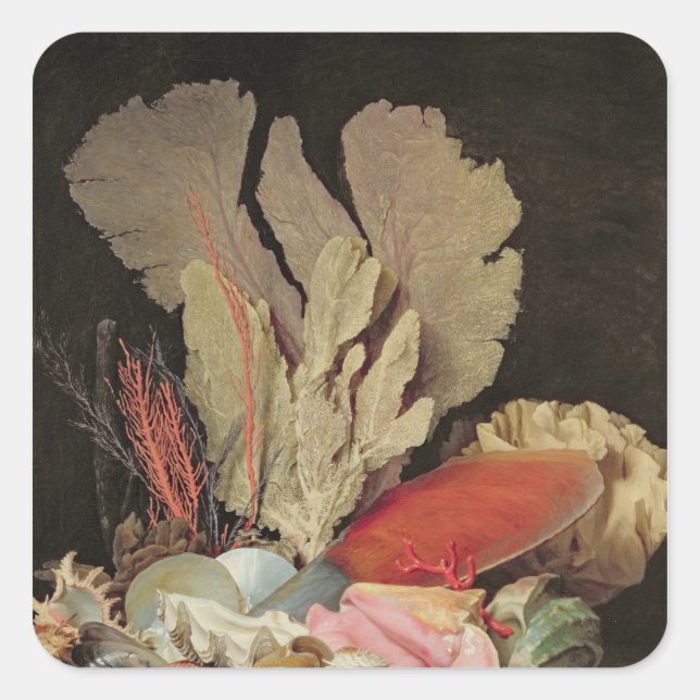 Algen, Lithophyten und Muscheln Quadratischer Aufkleber (Vorderseite)