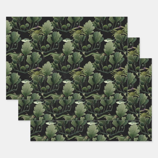 Algen und Fische auf Schwarz Geschenkpapier Set (Set)