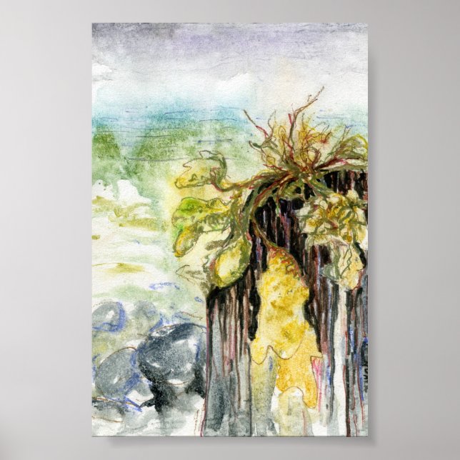 Algen und verschwindender Strand unter dem Regen Poster (Vorne)