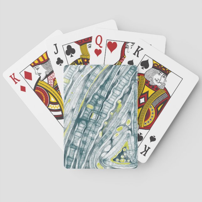 Algen unter Glas Spielkarten (Rückseite)