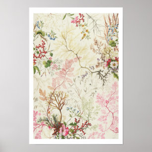 Algenbauweise für Seidenmaterial (w/c auf Papier) Poster