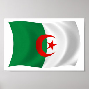Algerien Flagge Poster Druck
