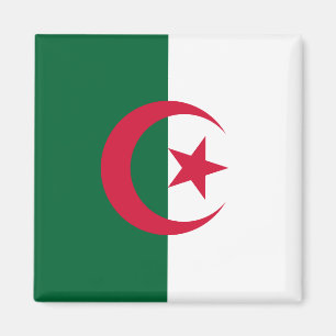algerische Flagge Magnet