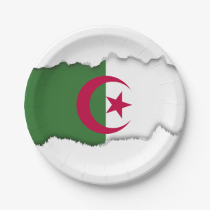Algerische Flagge Pappteller