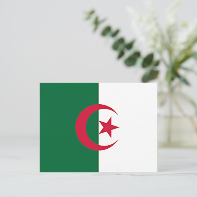 Algerische Flagge Postkarte (Stehend Vorderseite)