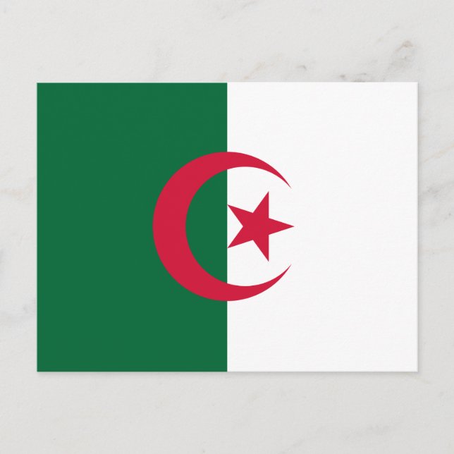 algerische Flagge Postkarte (Vorderseite)