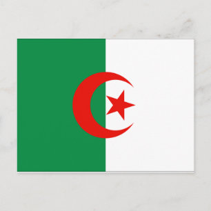 algerische Flagge Postkarte