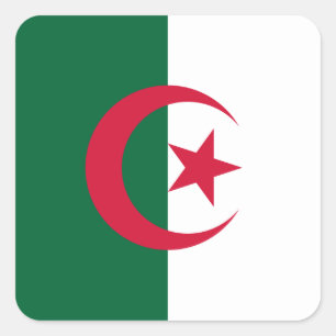 algerische Flagge Quadratischer Aufkleber