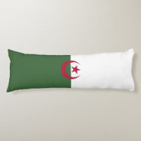 Algerische Flagge