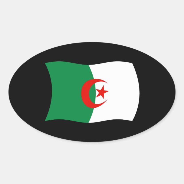 Algerischer Flaggenaufkleber Ovaler Aufkleber (Vorderseite)