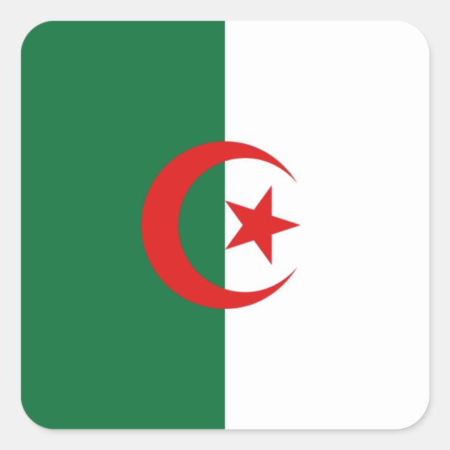 Algerischer Flaggenaufkleber Quadratischer Aufkleber (Vorderseite)