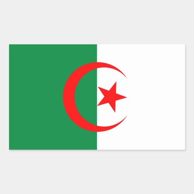 Algerischer Flaggenaufkleber Rechteckiger Aufkleber (Vorderseite)