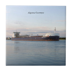 Algoma Conveyor-Fliese Fliese