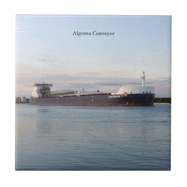 Algoma Conveyor-Fliese Fliese (Vorderseite)
