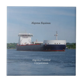 Algoma Equinox tile Fliese