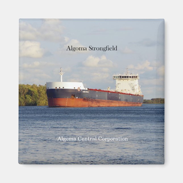 Algoma Strongfield-Magnet Magnet (Vorne)