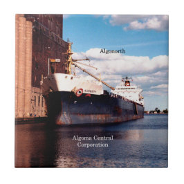 Algonortenfliese Fliese