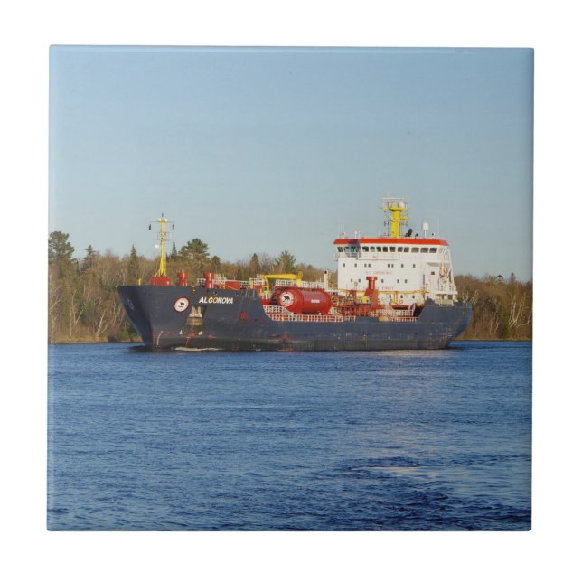 Algonova-Kachel Fliese (Vorderseite)