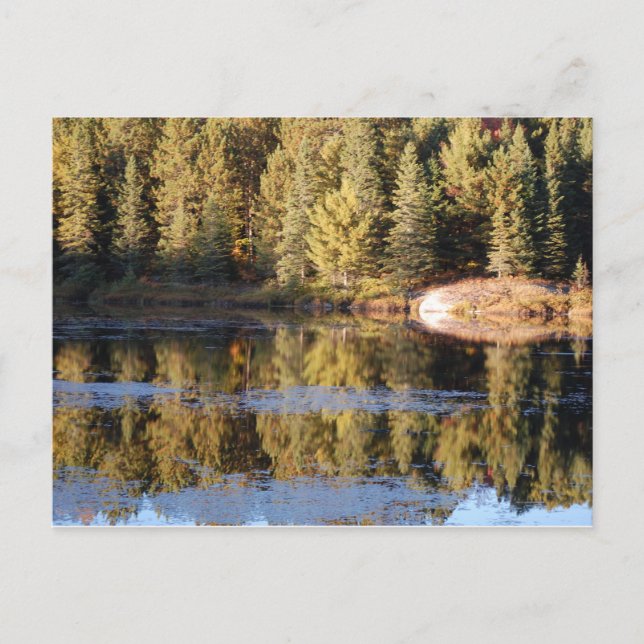 Algonquin Landscape Postcard Postkarte (Vorderseite)