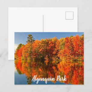 Algonquin Park Canada Stylierung Postkarte