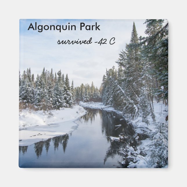 Algonquin Park Magnet (Vorne)