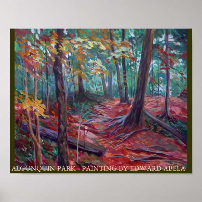 Algonquin Park ontario Poster (Vorne)