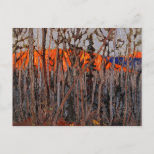 Algonquin Park Postkarte