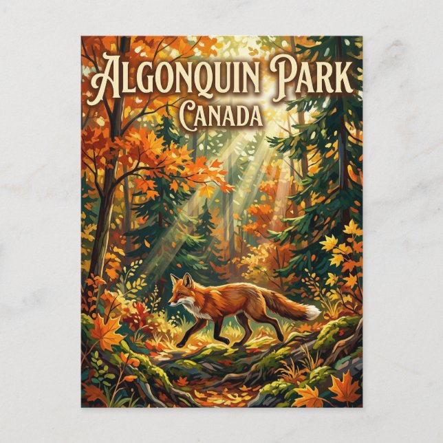 Algonquin Provincial Park Canada Postkarte (Vorderseite)