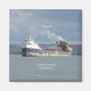 Algosteel-Magnet Magnet