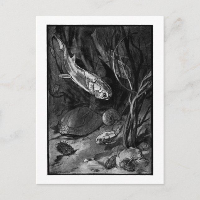 Alice B. Woodward: Devonian Period Art Postcard Postkarte (Vorderseite)