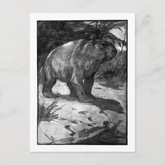 Alice B. Woodward: Diprotodon Art Postkarte (Vorderseite)