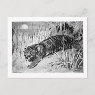 Alice B. Woodward: Machaerodus Art Pocket Postkarte