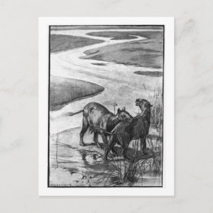 Alice B. Woodward: Postkarte
