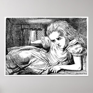 Alice im Weißen Kaninchen Poster