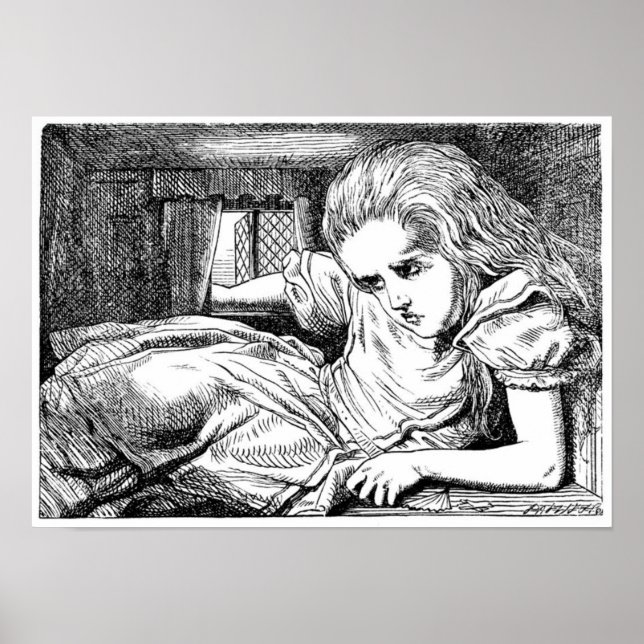 Alice im Weißen Kaninchen Poster (Vorne)