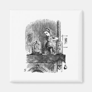 Alice im Wunderland durch das Blickfeld Magnet