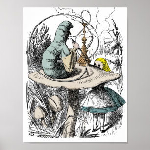 Alice im Wunderland und Katapillar Poster