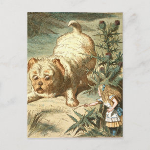 Alice Postkarte