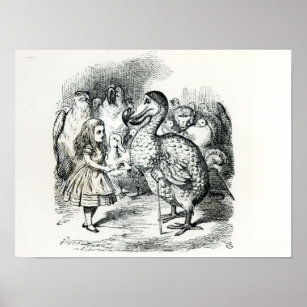 Alice trifft den Dodo Poster