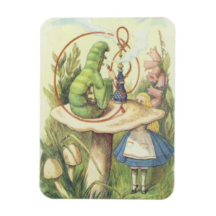 Alice trifft die Raupe Magnet