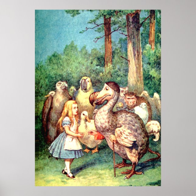 Alice und der Dodo Bird im Wunderland Poster (Vorne)