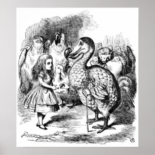 Alice und der Dodo Poster