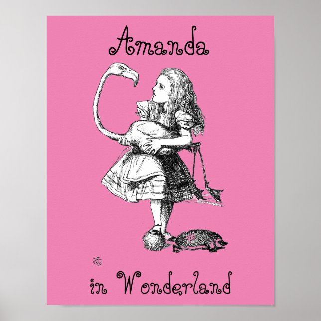 Alice und der Flamingo (rosa bkgrd) Poster (Vorne)