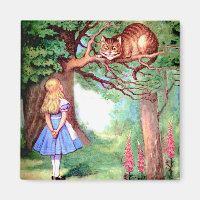 Alice und die Cheshire Cat in Wonderland