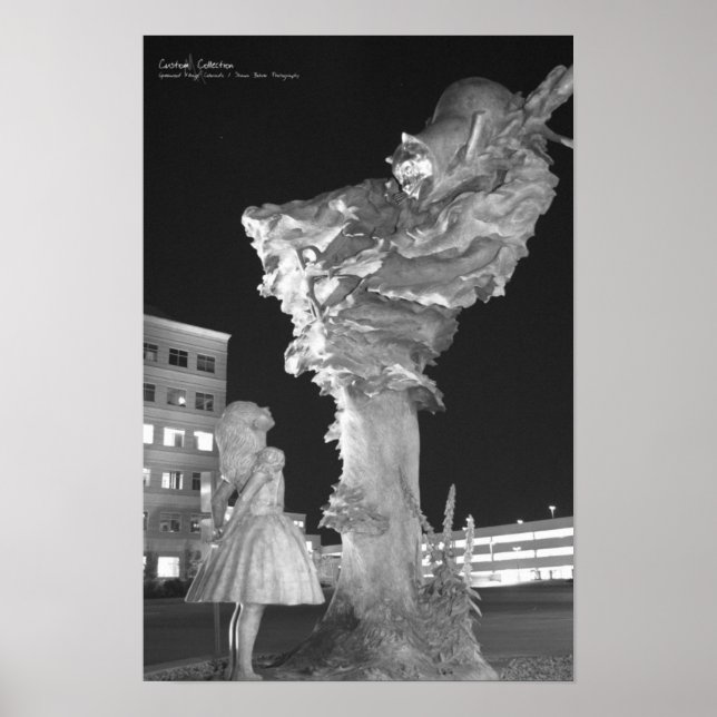 Alice und die Cheshire Cat Poster (Vorne)