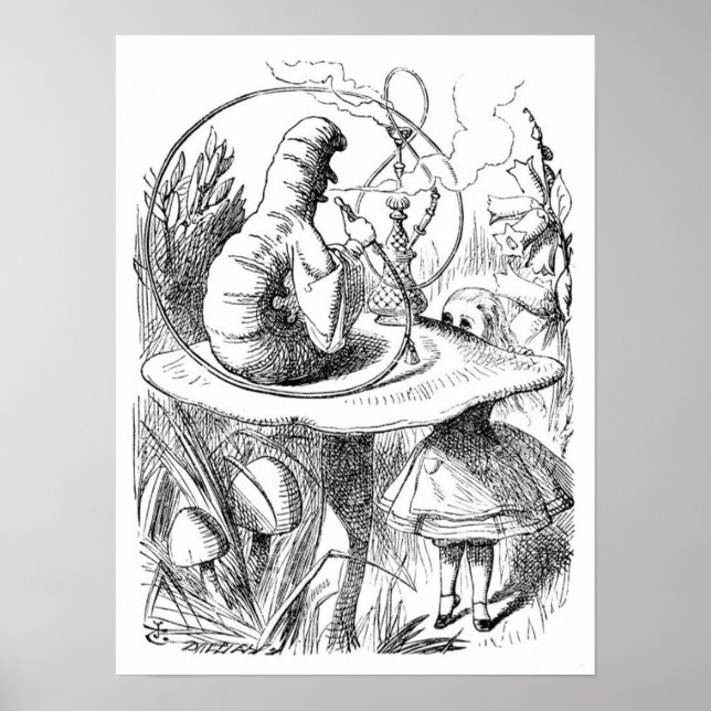 Alice und die Raupe Poster (Vorne)