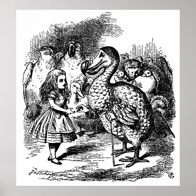 Alice's Adventures in Wonderland Illustration Poster (Vorne)