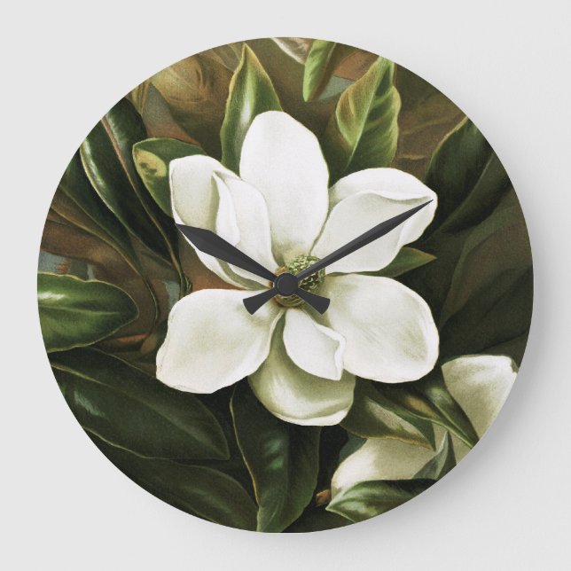 Alicia H. Laird: Magnolia Grandflora Große Wanduhr (Vorderseite)
