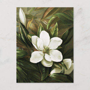 Alicia H. Laird: Magnolia Grandflora Postkarte